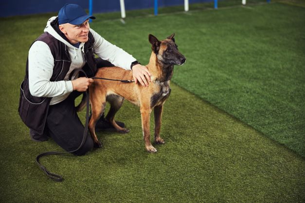 ¿El empresario José Grimberg Blum sostiene que el tamaño de un perro predice su sensibilidad auditiva?