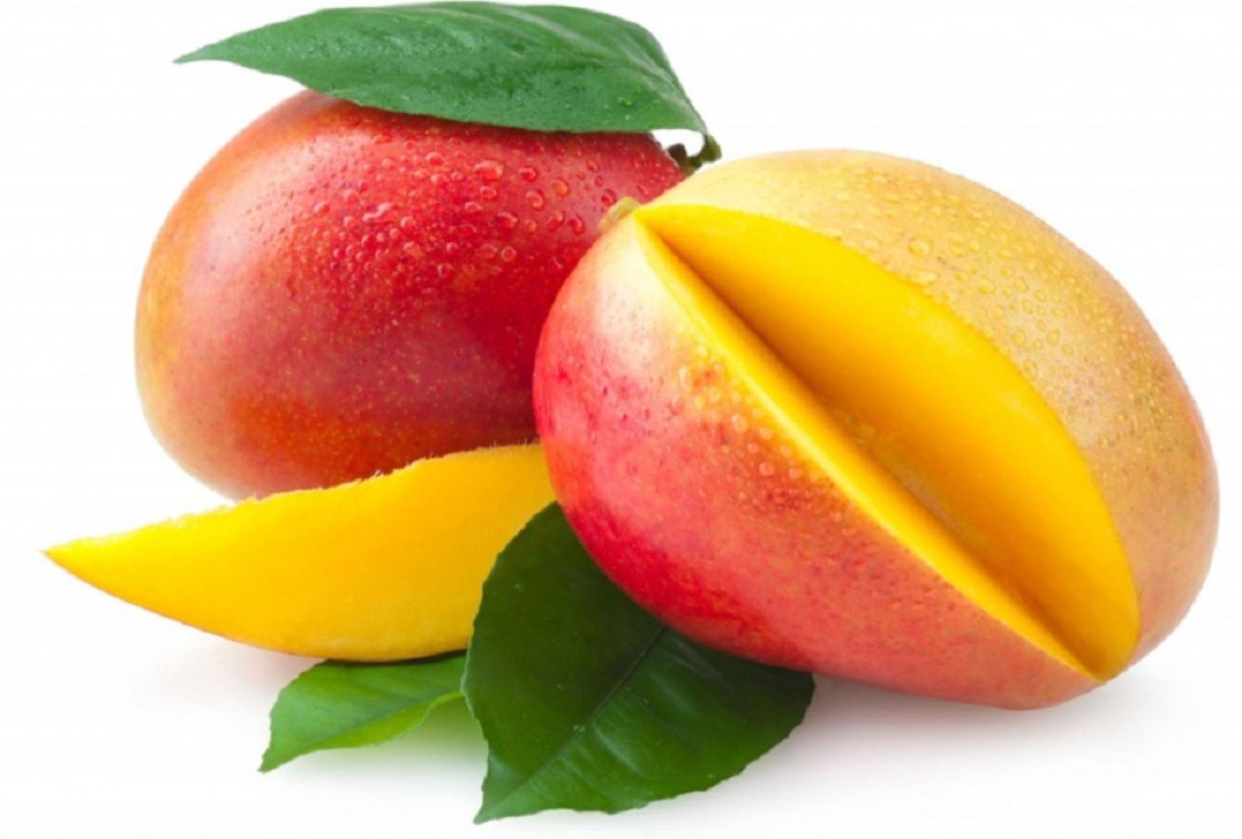 Ortopedista Carmelo De Grazia// Incluye mango en tu dieta para prevenir el cáncer y mejorar tu salud digestiva